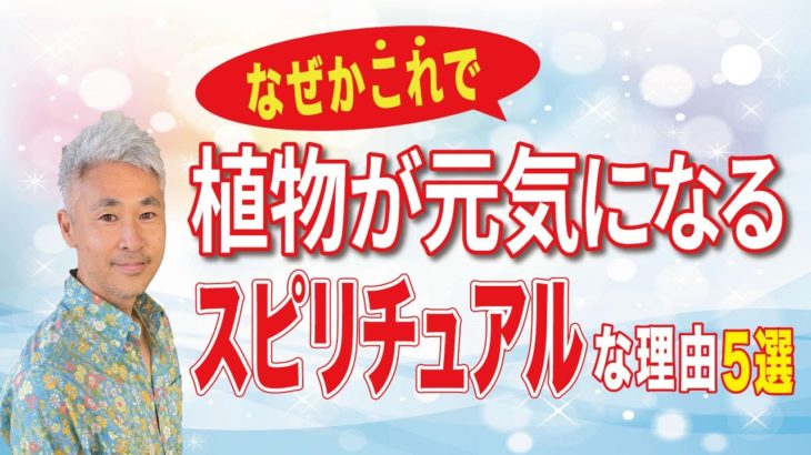 なぜかこれで植物が元気になる！スピリチュアルな理由5選