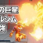 スト5 「ダルシム使いの巨星 YHC餅 」 素晴らしいヨガテクニックで強者を圧倒する SFV上級激戦5選 【最強高画質60FPS】