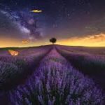 ふわふわとして眠くなる睡眠導入音楽｜ヒーリングミュージックにソルフェジオ周波数528Hz｜安眠する癒しの音楽