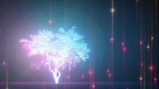 【睡眠導入・528Hz】 眠りを助ける癒しの瞑想音楽とソルフェジオ周波数が毎日のストレス緩和、ソルフェジオ周波数 睡眠用bgm 疲労回復