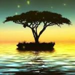 【528Hz・睡眠導入】 上質な睡眠を取るための癒しのヒーリングミュージック 睡眠用bgm 疲労回復