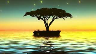 【528Hz・睡眠導入】 上質な睡眠を取るための癒しのヒーリングミュージック 睡眠用bgm 疲労回復