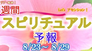 エネルギーに敏感な人のための週間スピリチュアルエネルギー予報8/23(月)～8/29(日)
