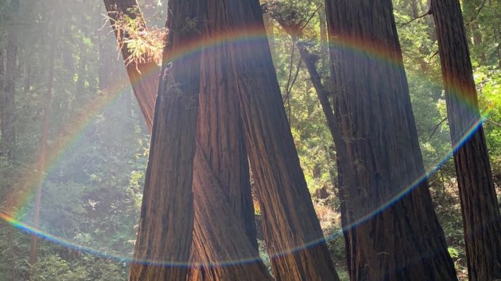 9月11日の公開スピリチュアルヒーリング！ニューヨークからだからこそ、今日は癒しの時間を皆さんと持ちませんか？