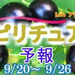 エネルギーに敏感な人のための週間スピリチュアルエネルギー予報9/20(月)～9/26(日)
