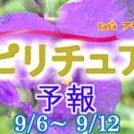 エネルギーに敏感な人のための週間スピリチュアルエネルギー予報9/6(月)～9/12(日)