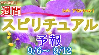 エネルギーに敏感な人のための週間スピリチュアルエネルギー予報9/6(月)～9/12(日)