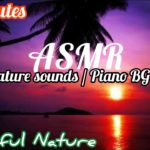 ASMR 30minutes/meditation music/ocean ambience/sunsets waves/癒し、睡眠BGM/30分 やさしい気持ち 波の音 自然音 ピアノ