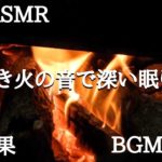 【睡眠効果絶大】 人間関係に疲れたあなたへ　癒しの炎で睡眠向上効果　ASMR  燃える音　身体回復効果　精神回復効果　ストレス解消　睡眠BGM③