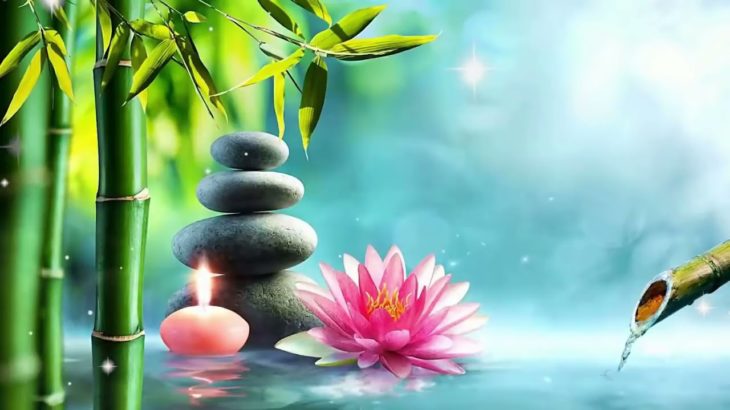 【癒し音楽BGM】自然の音とともに音楽をリラックス バンブーウォーターファウンテン