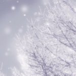 心が温まる、やさしいオルゴール【睡眠用BGM】～眠れる癒しの音楽～