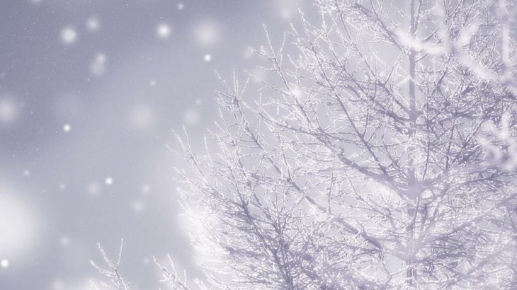 心が温まる、やさしいオルゴール【睡眠用BGM】～眠れる癒しの音楽～