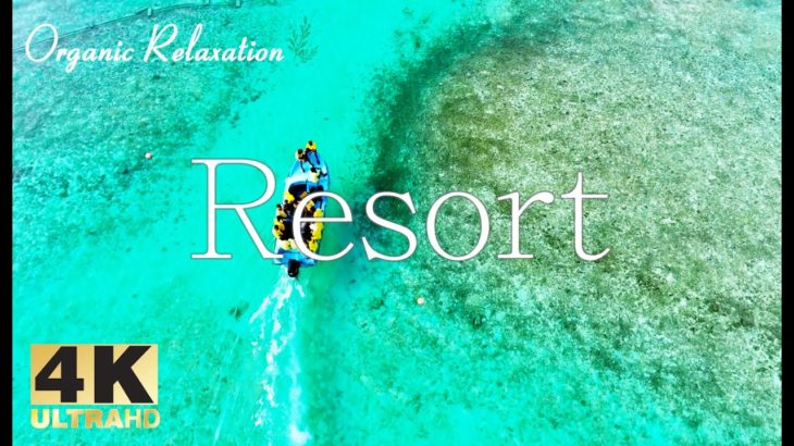 【７分瞑想用BGM】短時間睡眠でも疲れが取れるヒーリングミュージック 疲労回復のための睡眠用BGM 免疫力が落ちている方に 最高の睡眠と極上の癒し