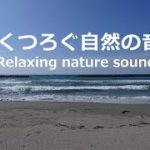 【癒し 勉強用 睡眠用 BGM】砂浜に打ち寄せる波の音と吹き抜ける風の音でリラックス  Waves crashing on the shore, Relaxing【4K Hi-Res Audio】