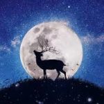 美しく切ないピアノ音楽 ぐっすり深く眠る睡眠用BGM 癒し熟睡のためのピアノヒーリングミュージック   睡眠 用 bgm ピアノ   短 時間 睡眠 15 分   睡眠用bgm