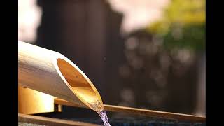 【睡眠用 BGM】自律神経を整える癒しのヒーリングミュージック　＃11