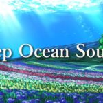 癒しの水中音｢海流（深層流）の音｣🎵睡眠･勉強･作業用BGM/ASMR -α波を促すリラックス自然音-