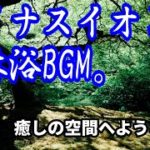 マイナスイオンを感じる森林浴BGMでHealing。ストレス解消、瞑想、癒しの音楽でリラックスしてください♪