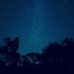 癒し睡眠用BGM夜の森虫の鳴き声川の音　作業　睡眠　瞑想　ヨガ　読書　Healing SoundMusicNight Forest and Insect Sound