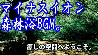 マイナスイオンを感じる森林浴BGMでHealing。ストレス解消、瞑想、癒しの音楽でリラックスしてください♪