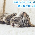 【睡眠用BGM音小さめ】眠り猫と癒し音楽Vol.18