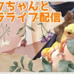 スピリチュアルが当たり前になる時代★かわいいコハクちゃんとHENTAI【ゲリラライブ配信】