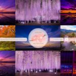 Japanese Relaxation Special Edition EP69 | Relaxing Music • 美しいリラックスミュージック • ヨガリラクゼーション • 美しい音色 ピアノ