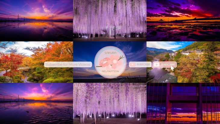 Japanese Relaxation Special Edition EP69 | Relaxing Music • 美しいリラックスミュージック • ヨガリラクゼーション • 美しい音色 ピアノ