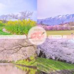 Japanese Sakura Relaxation Photos EP260 | Relaxing Music • 美しいリラックスミュージック • ヨガ瞑想リラクゼーション • 美しい音色 ピアノ