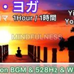 マインドフルネス・瞑想・ヨガ・インヨガ・ヨガニドラ/Mindfulness Yoga/Yin Yoga/Yoga nidra/Solfeggio/ソルフェジオ周波数528Hz/自然音/癒し/ヒーリング