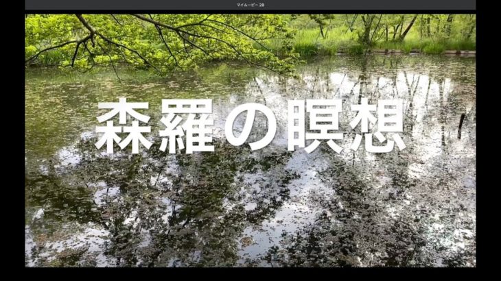 ＜森羅の瞑想＞ Piano & 映像 #ウォンウィンツァン（2021/5/9小蕪亭）#瞑想音楽 #環境音楽  #リラクゼーション #ヒーリングミュージック #癒し