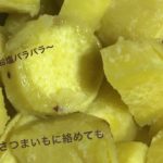 【赤ちゃんとゆる〜りヨガライフ】VLOG.2 今ここヨガ