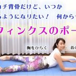 “カチカチ背骨だけど柔らかくなりたい” 何からストレッチする？「スフィンクスのポーズ」Yoga Stretch