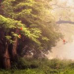 【睡眠用bgm 疲労回復・癒し 音楽・眠れる 曲・眠れる音楽・リラックス 音楽 】眠れない夜にどうぞ。疲れた心身の回復・リラックス効果・睡眠時など