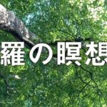 ＜森羅の瞑想３＞ ピアノ & 映像 by ウォンウィンツァン（90/9/26帯広勝毎ホール）#癒やし #リラクゼーション #ヒーリング #環境音楽 #アンビエント