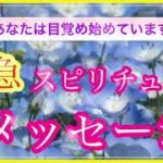 《目覚めの時👼》スピリチュアルに興味のある方、少しでも気になった方はぜひメッセージを受け取って下さい✨😊     魂の声を聞くお手伝いrose