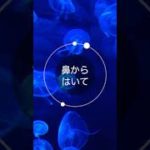 やっていない人は損!!!マインドフルネス習慣 #shorts