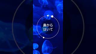 やっていない人は損!!!マインドフルネス習慣 #shorts