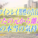 【スピリチュアル】なぜ彼は私から離れていったの？嫌いになった？気になるツインレイ男性の本音とは？