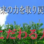 【誘導瞑想】本来の力を取り戻す『こだわる力』