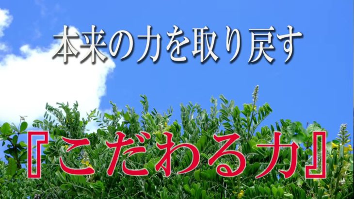 【誘導瞑想】本来の力を取り戻す『こだわる力』