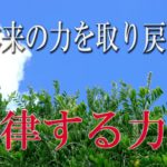 【誘導瞑想】本来の力を取り戻す『律する力』
