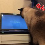 北斗のマインドフルネス