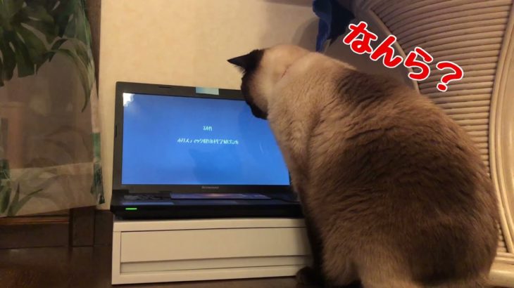 北斗のマインドフルネス