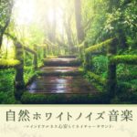 リラクゼーションマインドフルネス音楽