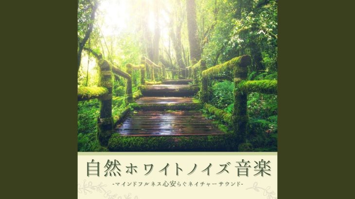 リラクゼーションマインドフルネス音楽