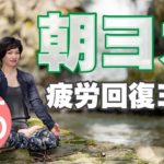 朝ヨガオンライン 疲労回復ヨガ