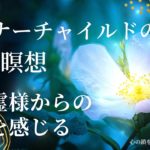 【インナーチャイルドの癒し誘導瞑想】守護霊様からの守りを感じる