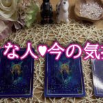 当たる❓スピリチュアルリーディング✨好きな人の今の気持ち💖３択😊