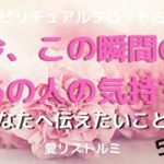[スピリチュアルタロット占い]🔮今、この瞬間のあの人の気持ち💗👫❗(あなたへ伝えたい事☝）